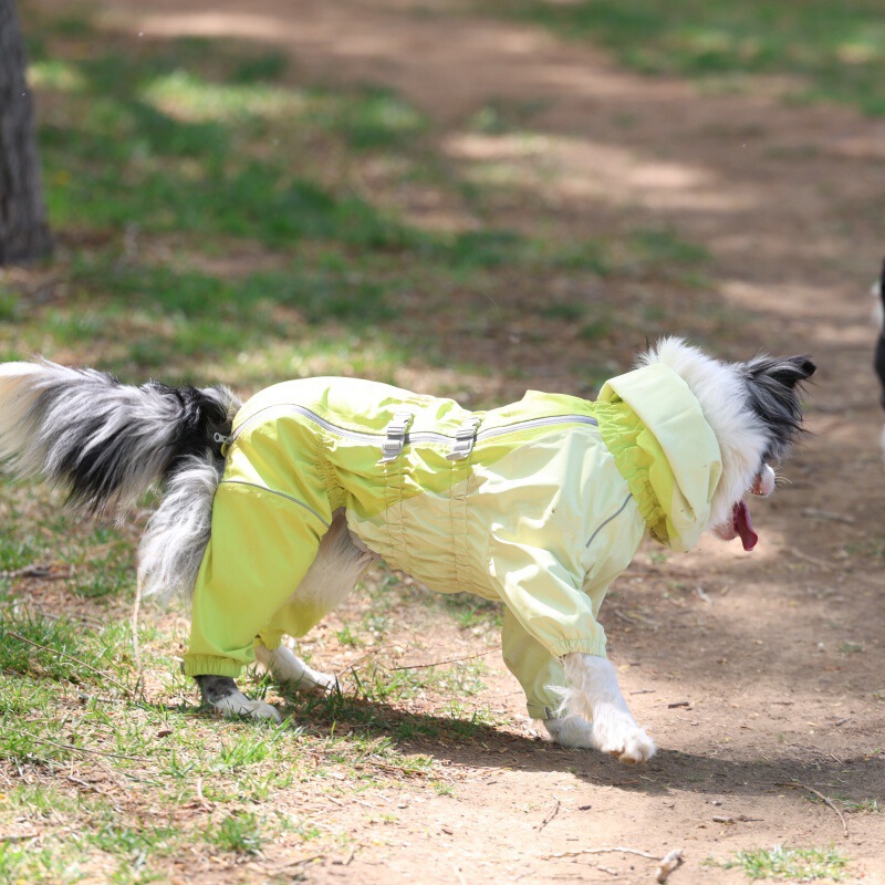 Waterproof Dog Raincoat for Large Dogs, Full-Body Jacket for Border Collies, Golden Retrievers, All-Season Rain Gear with Hood Waterproof Dog Raincoat for Large Dogs, Full-Body Jacket for Border Collies, Golden Retrievers, All-Season Rain Gear with Hood