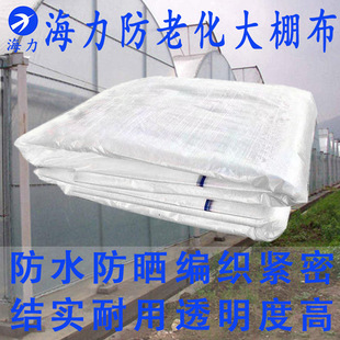 120g�����Ʒ��ϻ�͸����ﲼ�����겼�񲼾������B�u�B�i�Nֲ