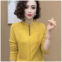一件代发 时尚洋气气质拉链加厚上时尚百搭女士休闲打底衫女T恤妈