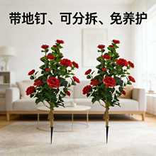 ���W�b͏d��ؔ[���ɷֲ�Gֲ��������B�oɽ�軨�����b[��