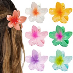 7cmアマゾン欧米の髪飾り女性卵花クリップカラー花盤髪クリップ