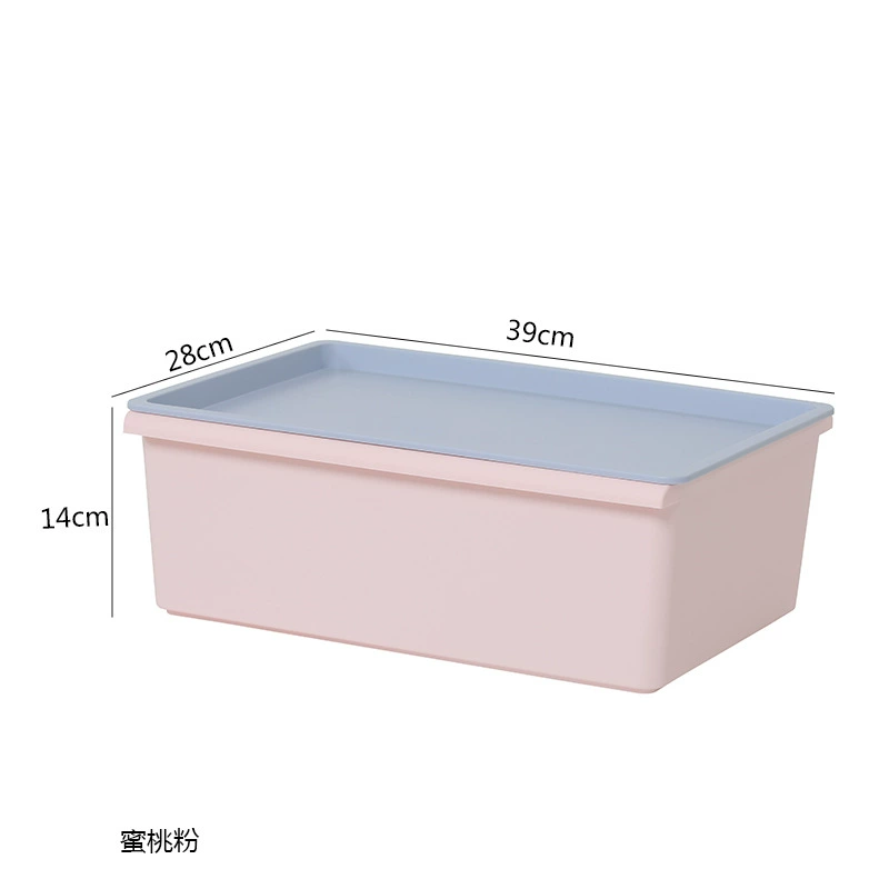 Пластиковый салф storage box?
