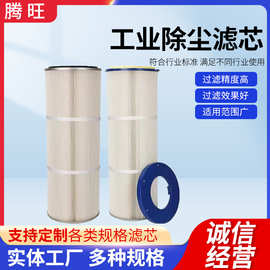 工业除尘滤芯喷砂器抛丸机粉末喷涂喷塑过滤器螺杆抛丸机除尘滤芯