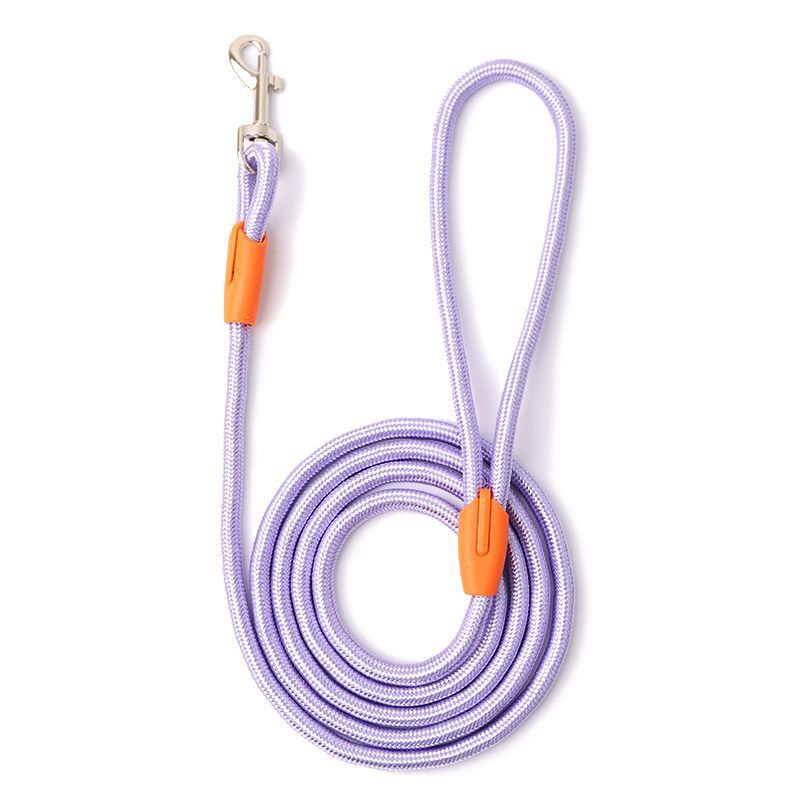 Smycz dla psa Teddy Golden Retriever, duża, średnia, mała, smycz dla szczeniaka, 2,3 m, przedłużona_voghion.com