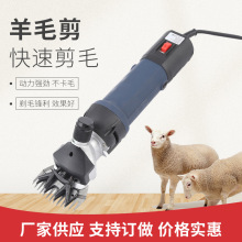 ���ҹ�Ӧ����ʽDC��ë�� F7D��ë��ë�������� ��Я������ë��