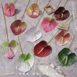 红掌仿真绿植假植物叶子森林系婚礼路引布置高级感插花造景装饰