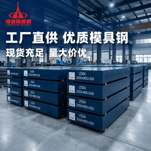 ��ģ��� x45nicrmo4 LG 8566 8433 8503 M316 1.2767ģ��䓲�