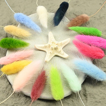 һ����������β�ݸɻ�����ins�滨�b[���L����Ȼ��β�Ͳݿ͏d