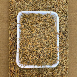 ���l �P�c��t�� 2026����ϵ�tС��� ��ѿ��l�������500g�b