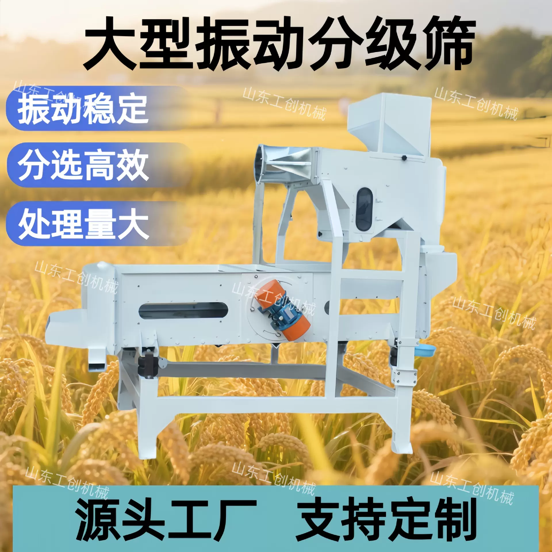 大型商用粮食振动分级筛 水稻小麦清理去杂筛 谷物大小杂质除杂筛