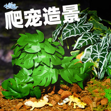 �~���쾰���x��B��������׃ɫ���Ꭷ���ַ���ֲ�����B��ɳĮ�쾰