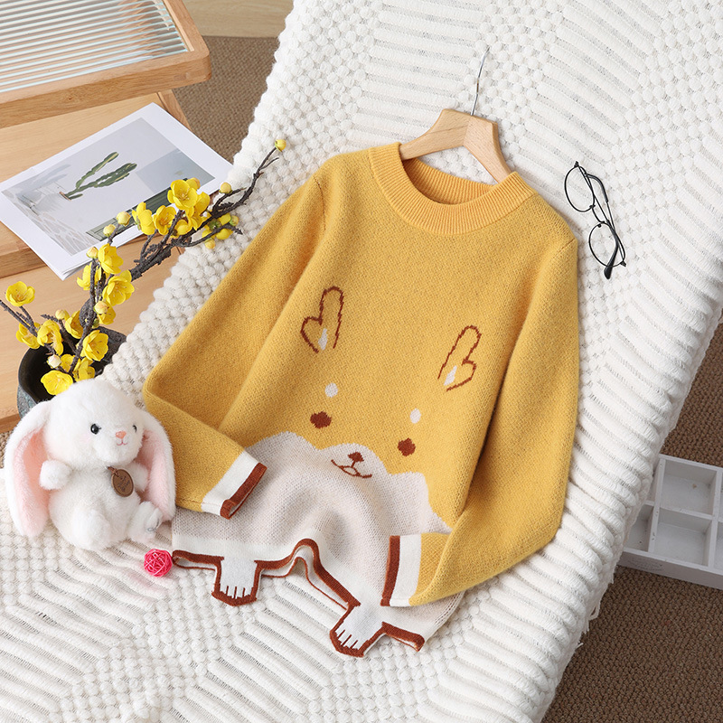 100 Wool Sweaters for Men and Women, Thickeneded Sweaters, Round Neck Baby Sweaters, Autumn and Winter New Cute Cartoon Embroidered Clothes