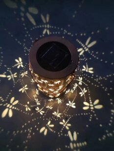 ���Sֱ�N����̫��������Fˇ�A��ͥԺ���\�U�վ��^�����@�b��
