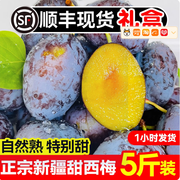 新疆西梅新鲜水果法兰西礼盒包邮孕妇李子喀什西梅鲜果甜
