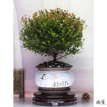 ʯ���辰���;��^���@С�~�辰�Ϙ������҃��̨�ͺ��Gֲ��������