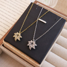 ���n�L�M�С���~��������Ů�r�к��s�i��朰ٴ�߼������Ʒ