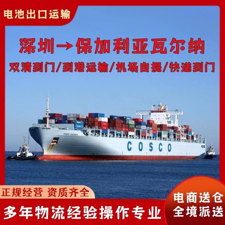 Электромобиль Шэньчжэнь в Варну, Болгария