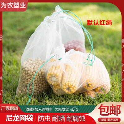 防虫网袋种子袋葡萄水果套袋浸种袋防鸟袋防果蝇尼龙网袋火龙果袋