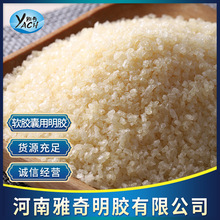 厂家供应软胶囊用明胶250冻力牛骨明胶食品食用粉胶壳软胶囊专用