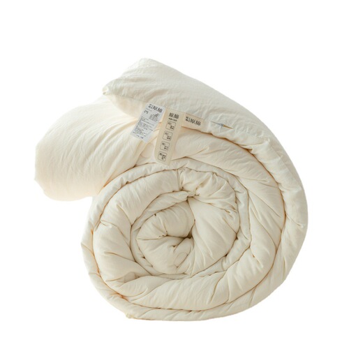 Pure cotton quilt soybean quilt thickened warm core winter wholesale spring and autumn quilt four seasons gift quilt summer quilt air conditioning quilt