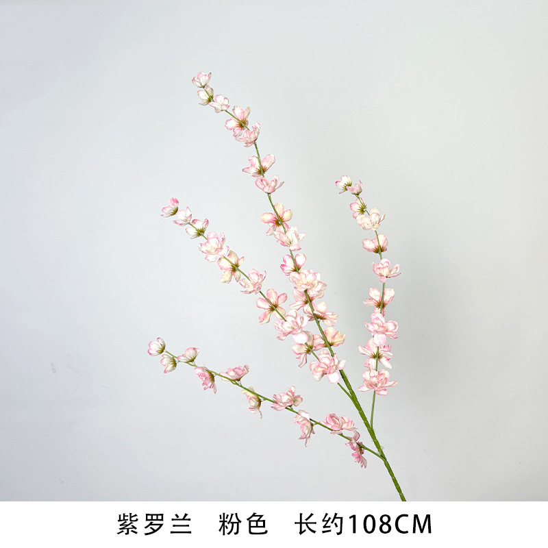 Violet "new arrival recommendation"