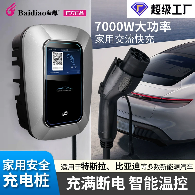 Открытый разрядный пистолет BYD разрядный пистолет зарядная куча автомобиля новой энергии с автомобильным зарядным устройством Открытый Кемпинг рядная вилка оптом