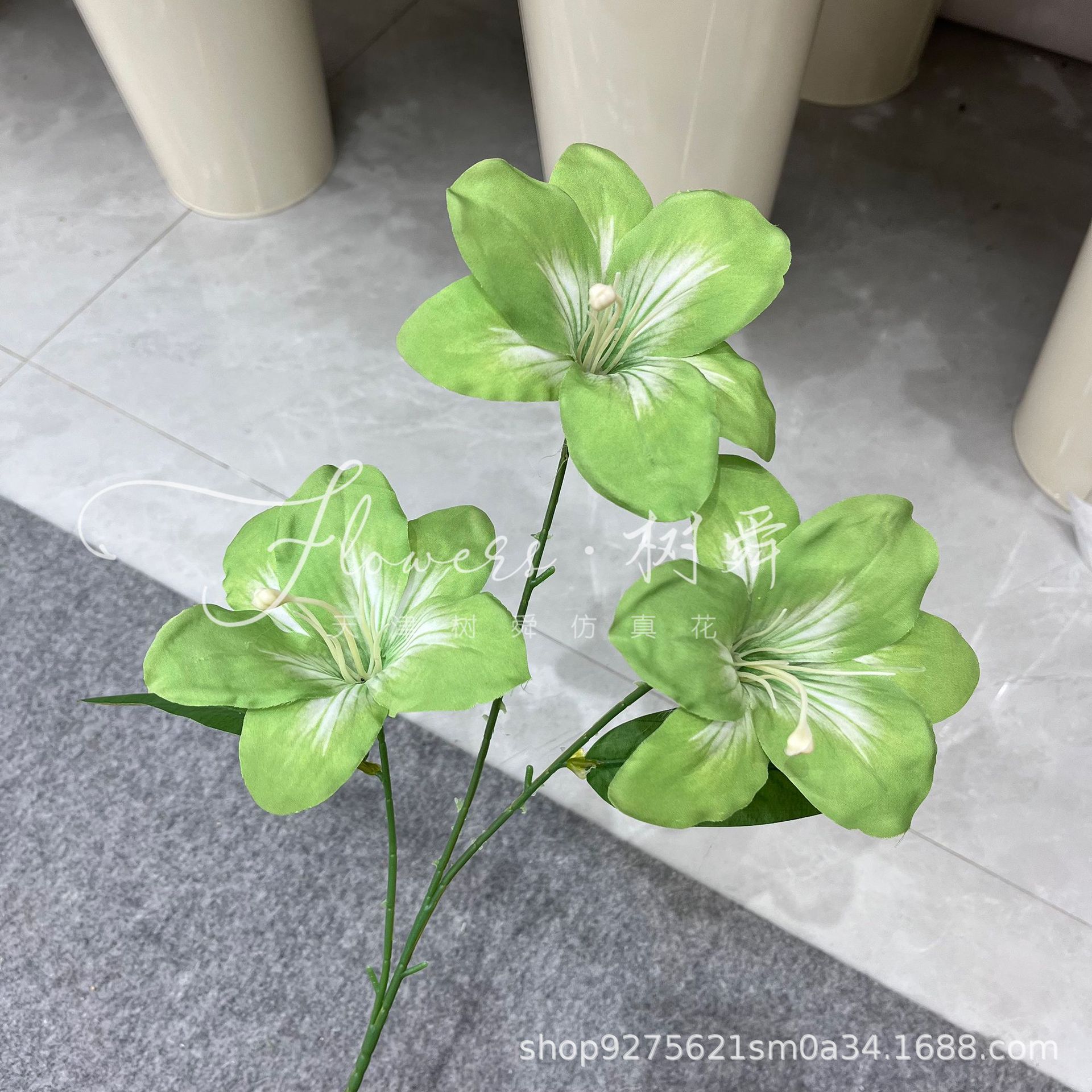 Lirio hemerocallis de 3 cabezas-verde claro