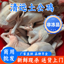 �����u���u�ߵ��u���r�F�����r�u���l�������l���B���l