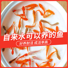 �ݽ��~���~�\���^�p�~�~�絭ˮ�~С���~�t�ݽ���ˮ�~С���ͻ���w