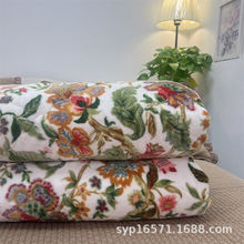 ���Qԭ��β؛�n���p��ӡ�����R�q�w̺һ�w�������o늳���ܛ�əCϴ