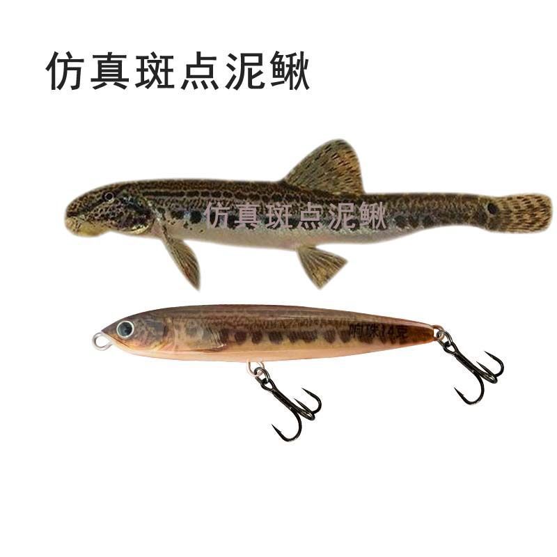 熱い販売水中ペンシル Luya 餌超長距離投げ震えドロップベルトリングビーズ Luya 偽餌卸売釣り餌|undefined