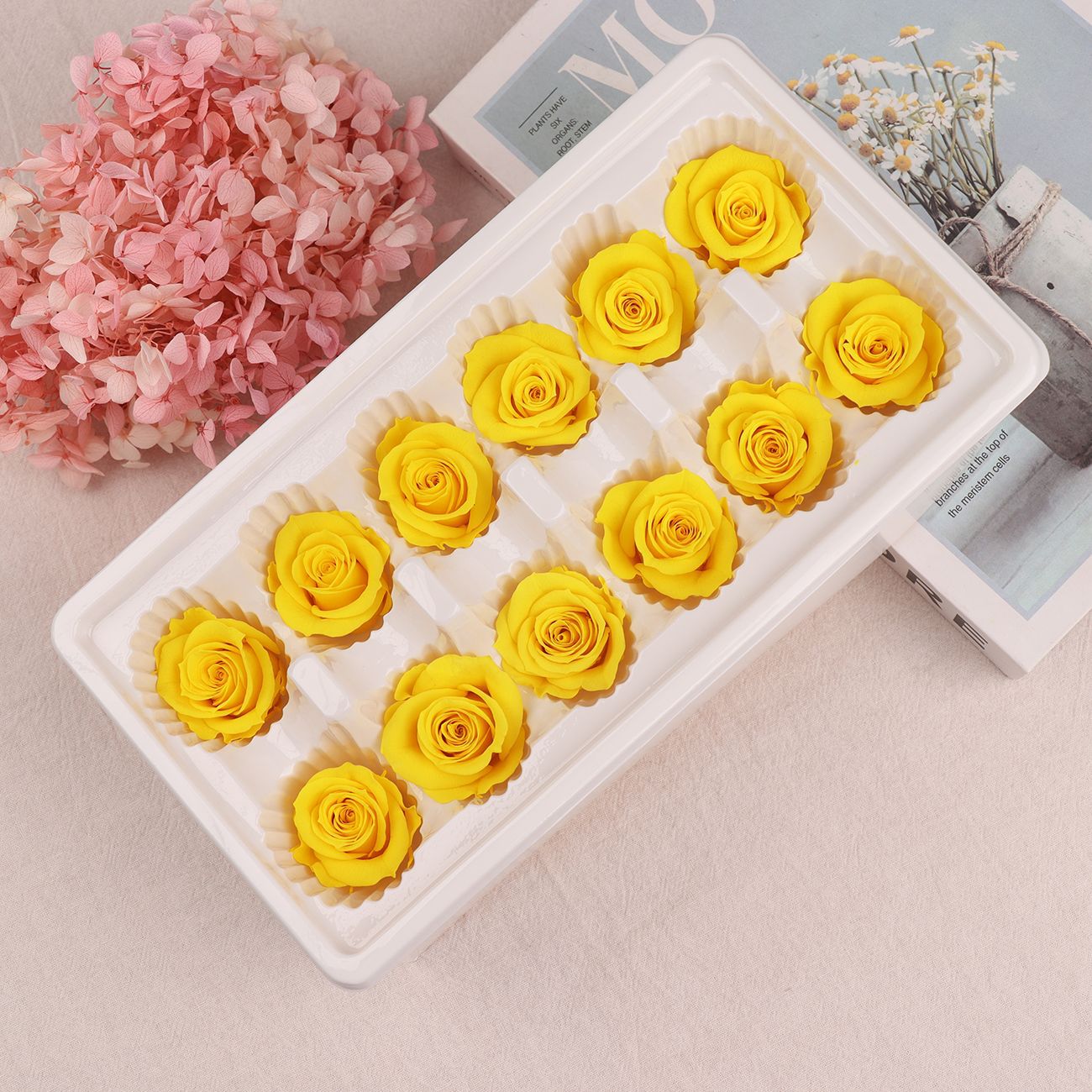 Cabezas de Rosa Eternas A+, 3-4 cm, 12 Piezas, Materiales para Manualidades Florales, Caja de Regalo, Fabricante, Venta al por Mayor