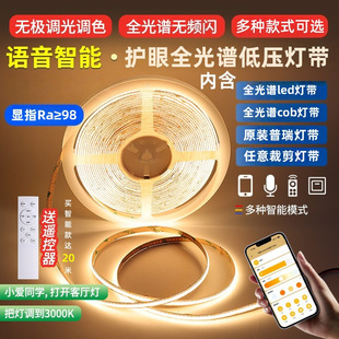 Eye-Protecting Full-Spectrum Cob Light Strip Led Light Bar One Light One Cut 12V Intelligent Waterproof 24V Low-Voltage Patch Light Strip