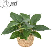 ¿10~fֲG}~ָz~Сٻbֲ