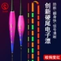 日夜两用灵敏鲤鱼电子漂