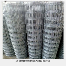 ţ�ھW�Bֳ�W�rţ����o�W���@���ھW����\���P�F�z�W�羳ֱ�N