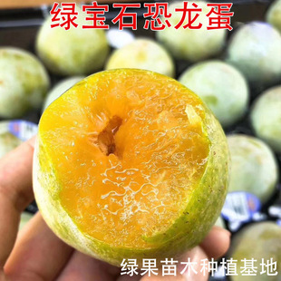 �����G��ʯ �������� ���� �G������ �޽����Ә����ϱ�������