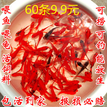 �ݽ�����С�~��ˮ���B���ͻ����ˮ�~�^�p�~����С���~���~������