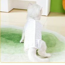 猫咪绝育服手术服术后防舔毛夏季薄款猫猫母猫断奶防掉毛宠物衣服