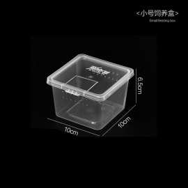 跨境人渣盒爬虫箱螳螂跳蛛养蚕饲养盒爬行动物睫角寄居蟹饲养箱