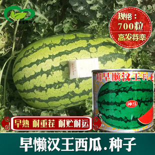 ��Нh�����ϷN�� �r��˵طNֲ����ˮ�����������ز�tȿ����
