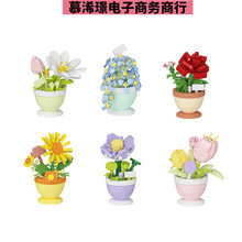 ��ؿ���a΢С�w��ƴ�b�eľ�������6088-1���Ի�ϵ�п羳�ؔ����l