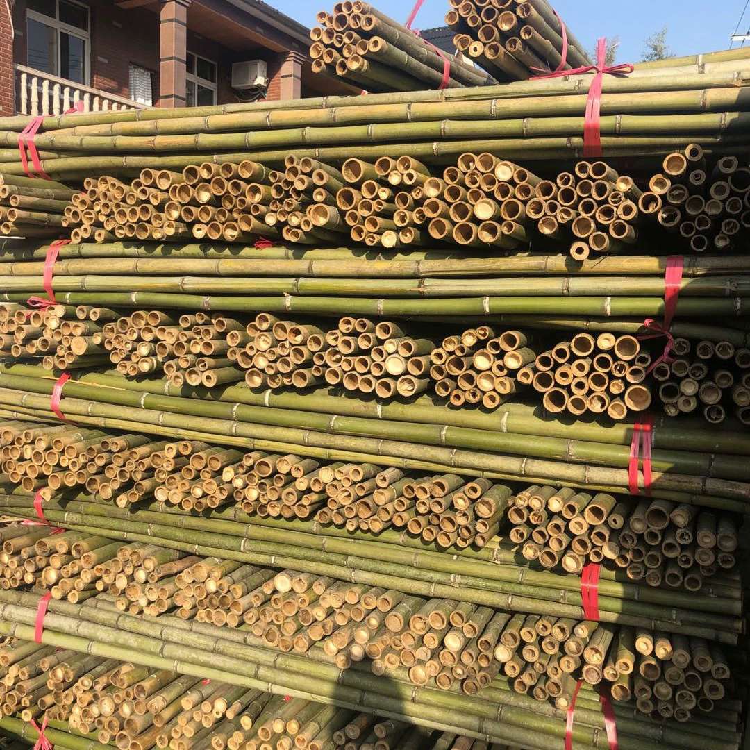 Садовые деревья из бамбуковых столбов и другие опоры для строительства теплиц из длинных бамбуковых столбов и других больших объемов потребления