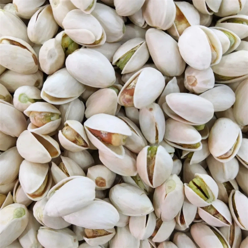 Прививка рассады фисташек Северное и Южное плодоношения фисташки зеленое ядро фисташки саженцы посадка полевого горшечного растения