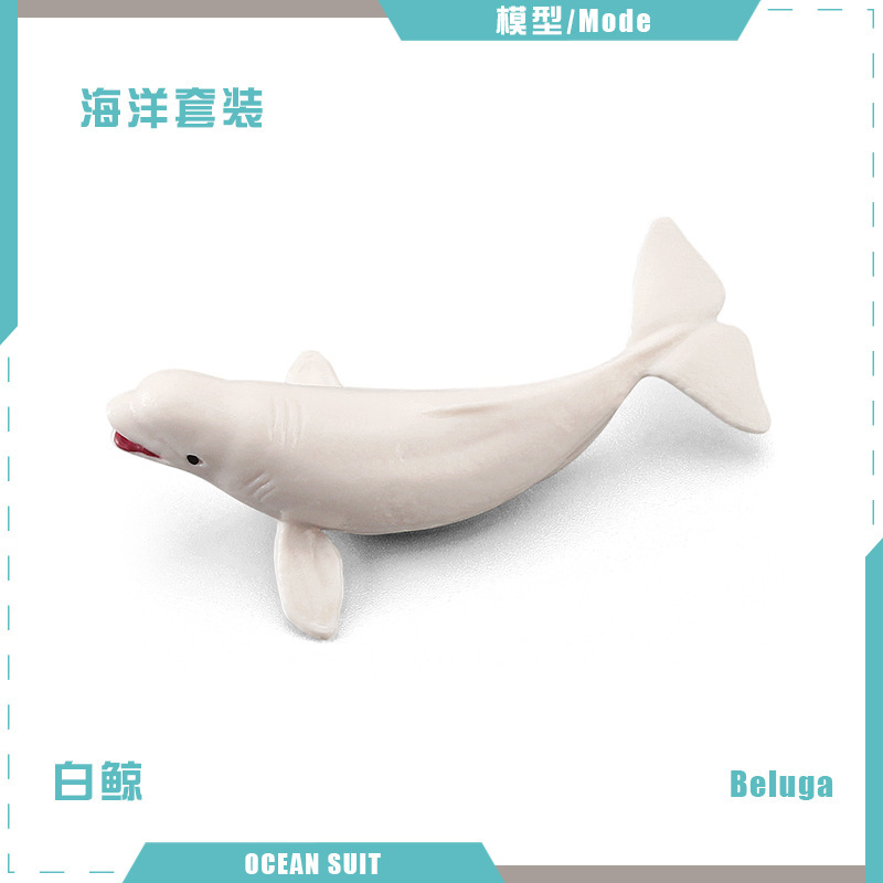 Ballena blanca BL-5153 4G