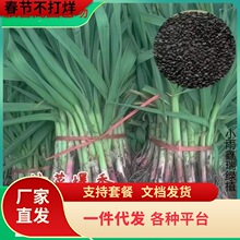 һ�������ļ���Ҷ�������ִ����������Ѵ���ͷ�����Ƥ���ֺ�Ƥ��