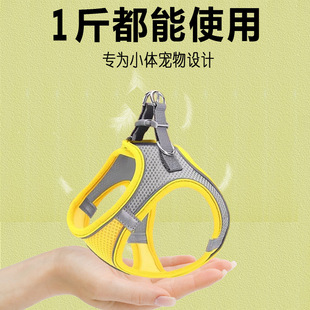 Special Leash for Small Breed Puppies, Ultra-Small Yorkshire Terrier Harness, Teacup Dog, 0.5kg Dog Leash, Small Deer Dog