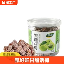 甄好旺甘甜话梅102g罐装话梅肉酸甜梅肉干蜜饯果脯零食干包邮