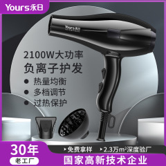 永日ヘアドライヤー 家庭用マイナスイオン ヘアサロン ハイパワー ヘアドライヤー 恒温ヘアドライヤー マジックマイナスイオン ヘアケア