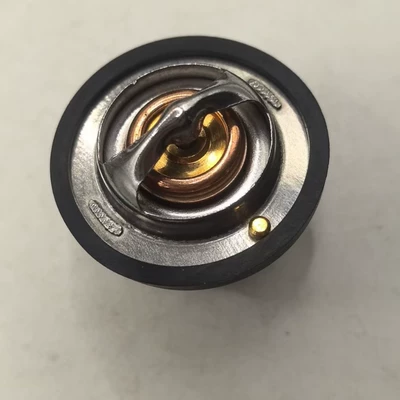 Thermostat Toyota car